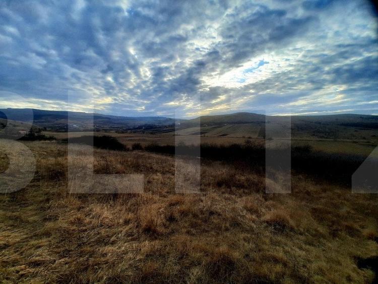 Teren Construcții intravilan de 2900 mp, în Sopor