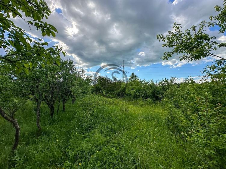 Teren agricol intravilan de 3600 mp, în Gura Vitioarei