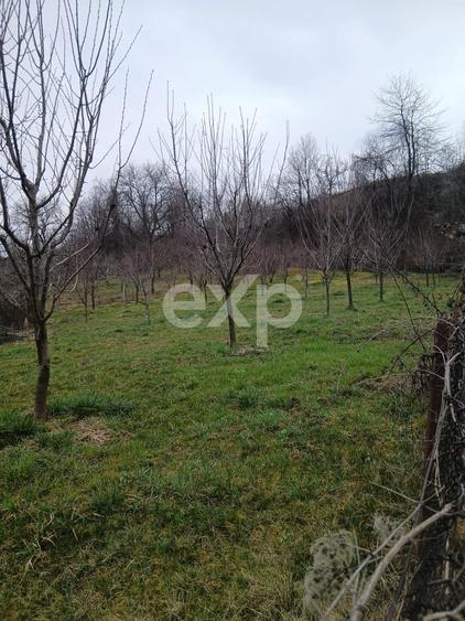 Teren Construcții intravilan de 1600 mp, în Dragodănești