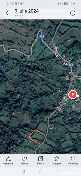 Teren de 4500 mp, în Albești