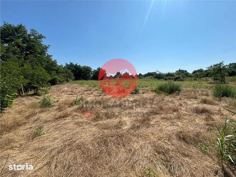 Casă cu 2 camere cu Teren 3706 Mp în Valea Nucarilor