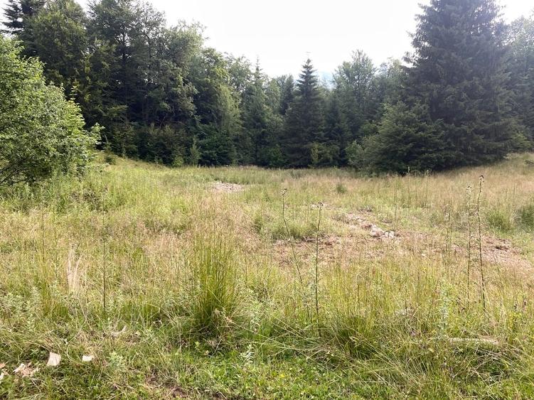 Teren Construcții intravilan de 12750 mp, în Pârâul Rece