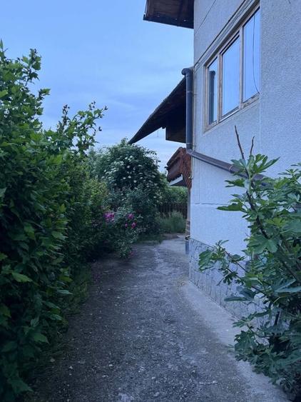 Casă cu 3 camere în Central