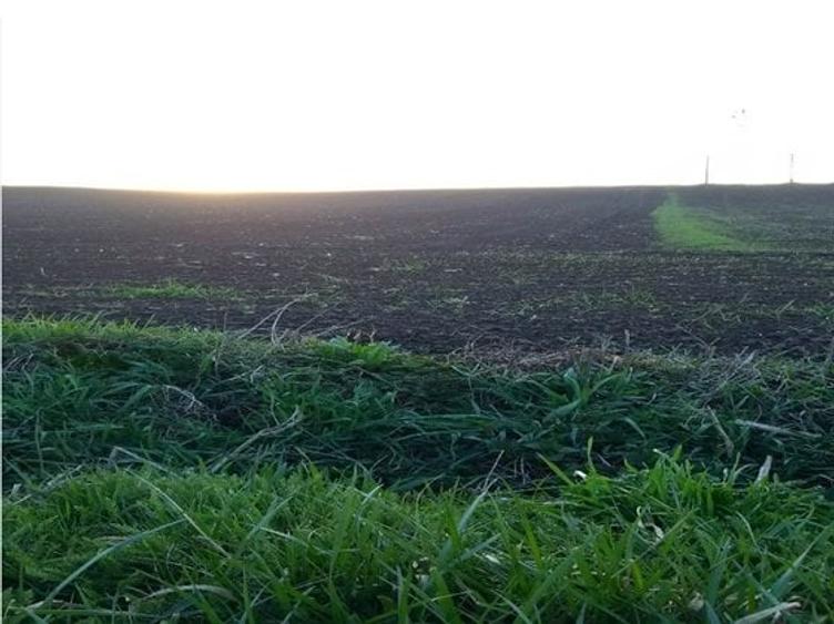 Teren Construcții intravilan de 27700 mp, în Iernut