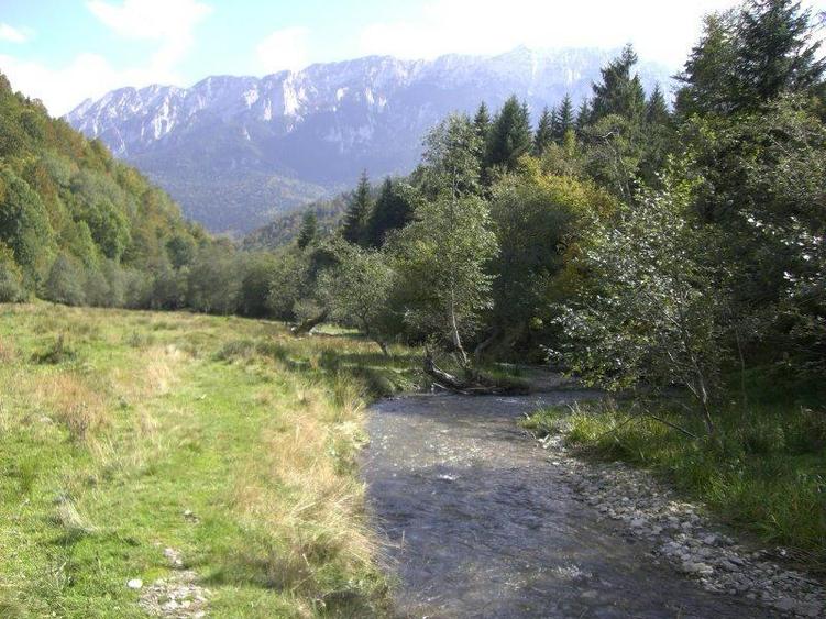 Teren Construcții extravilan de 2850 mp, în Plaiul Foii
