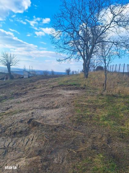 Teren de 7000 mp, în Solești