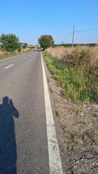 Teren de 28500 mp, în Central