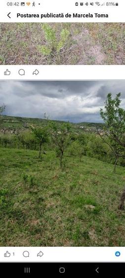 Teren extravilan de 5800 mp, în Aiudul de Sus