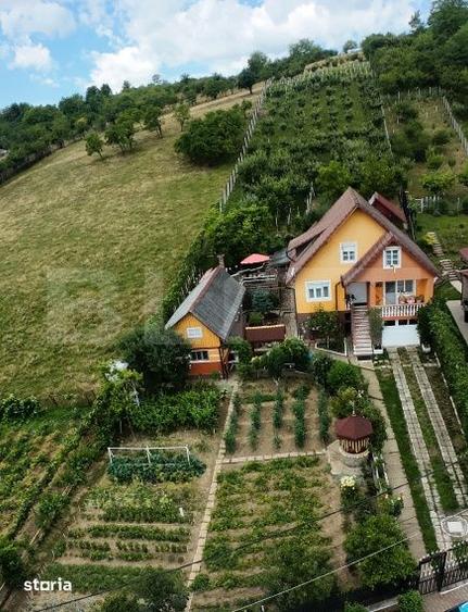 Casă cu 3 camere cu Teren 1800 Mp în Centura