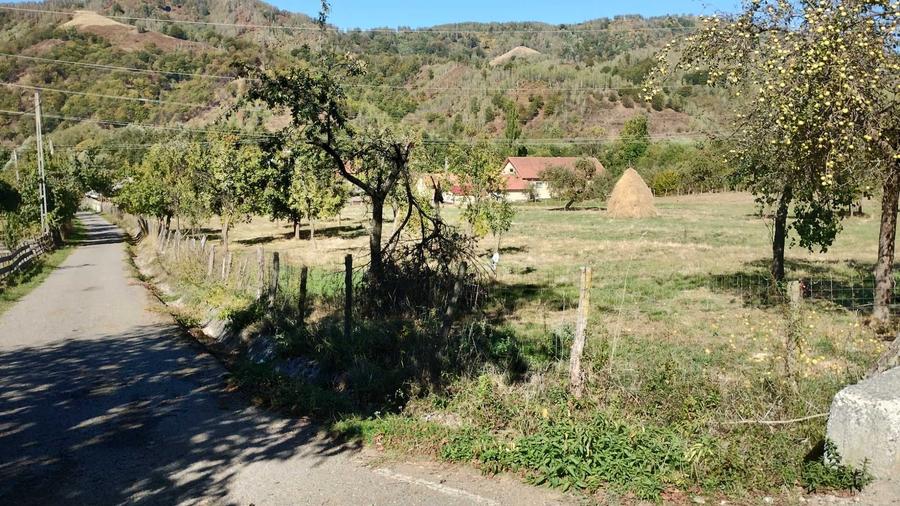 Teren de 9288 mp, în Bucova