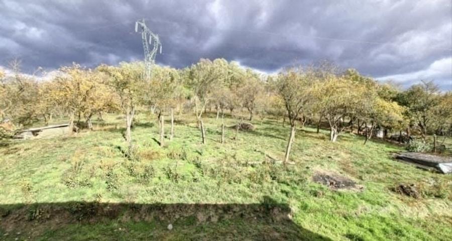Casă cu 3 camere cu Teren 1620 Mp în Zigoneni