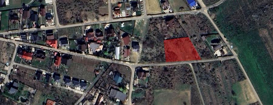 Bucium - Str. Teascului, teren intravilan, 3104mp, 86ml deschidere - 2