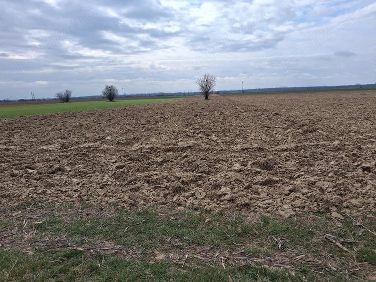 Teren de 5600 mp, în Leordeni