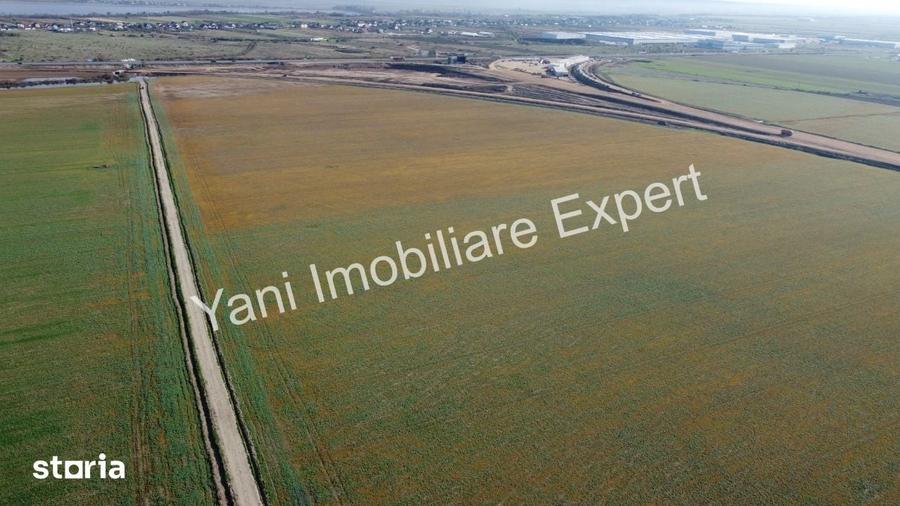 Teren de 5000 mp, în Oarja