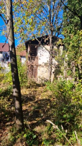 Teren Construcții intravilan de 1780.9200439453 mp, în Băile Olănești