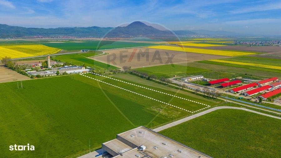 Spațiu comercial, în Central