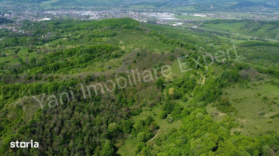 Teren de 19452 mp, în Central