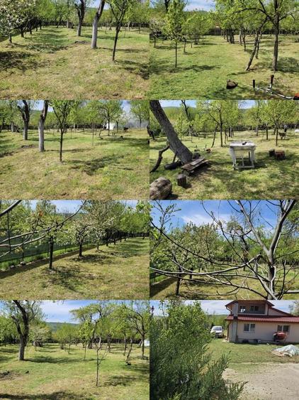 Casă cu 4 camere în Valea Popii