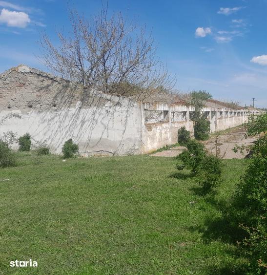 Teren de 84179 mp, în Izvoru
