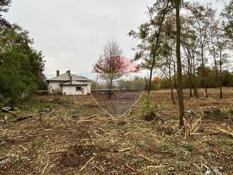 Teren Construcții intravilan de 7035 mp, în Butimanu