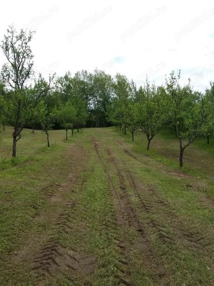 Teren de 20000 mp, în Rădulești