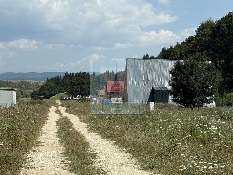 Teren Construcții intravilan de 500 mp, în Măieruș