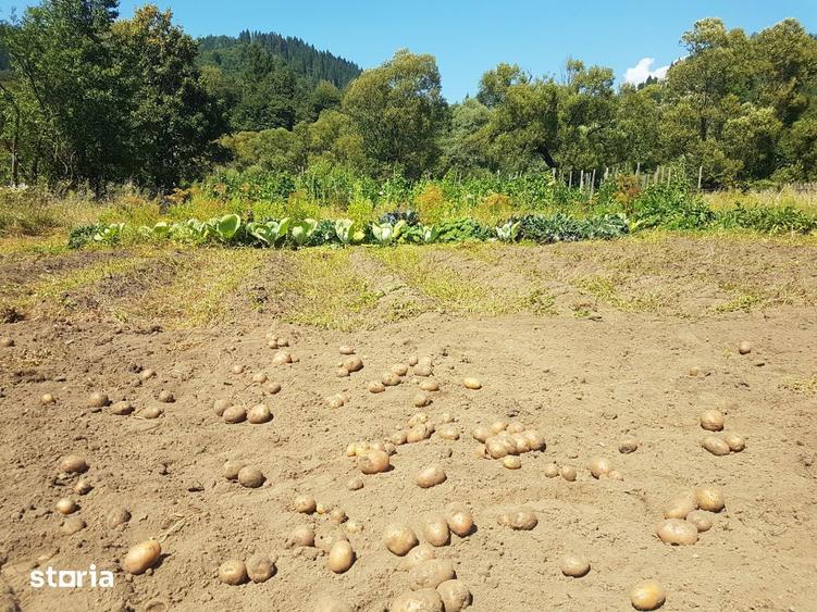 Teren de 1400 mp, în Lunca