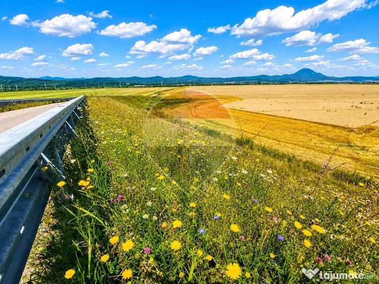 Teren extravilan 17,000mp Rasnov langa Autostrada A3, zon... - 7
