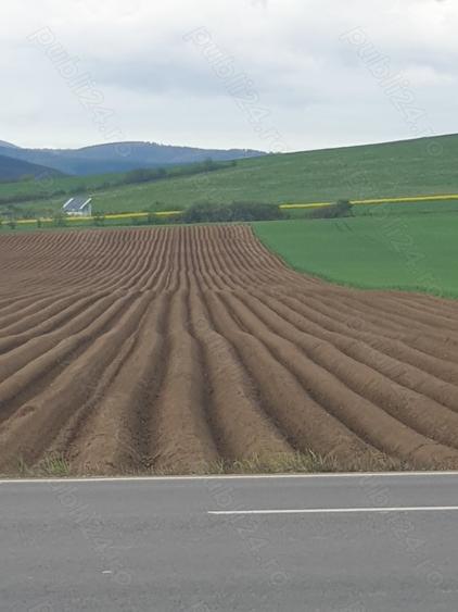 Teren de 2650 mp, în Bogdănești