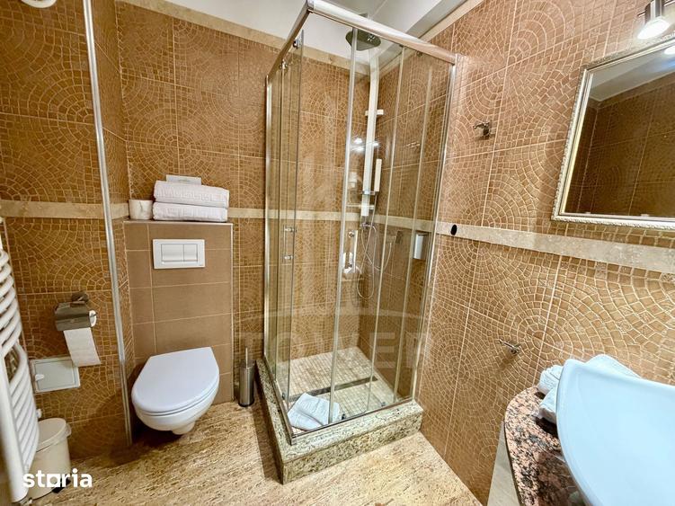 Casă cu 8 camere în Sub Arini