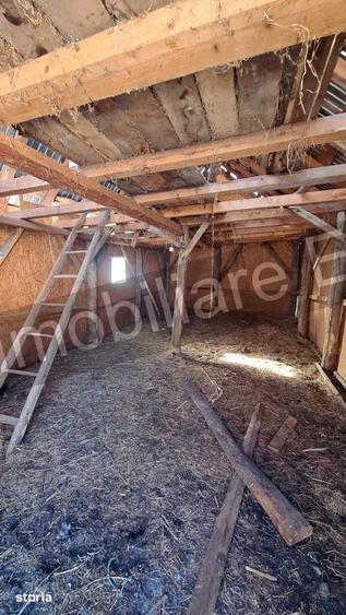 Casă cu 3 camere cu Teren 3877 Mp în Valea Danului