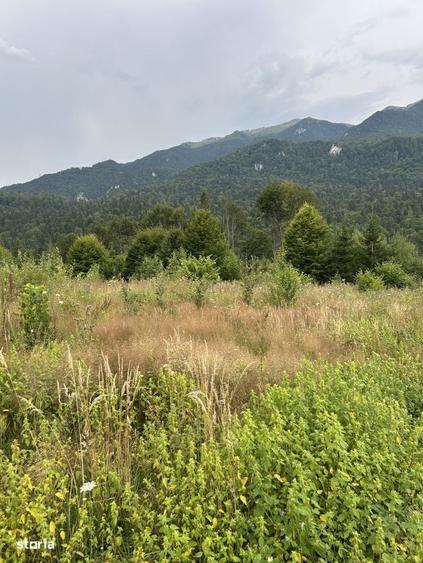 Spațiu comercial, în Cumpătu