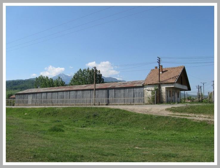 Teren Construcții intravilan de 28864 mp, în Periferie