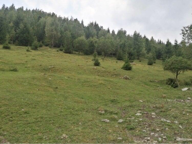 Teren Construcții intravilan de 10000 mp, în Muntele Rece