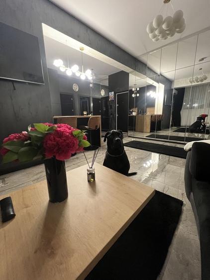 Apartament cu 2 camere decomandat în Dobroești