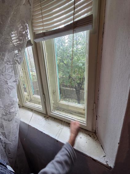 Casă cu 4 camere cu Teren 2308 Mp în Valea Nucarilor