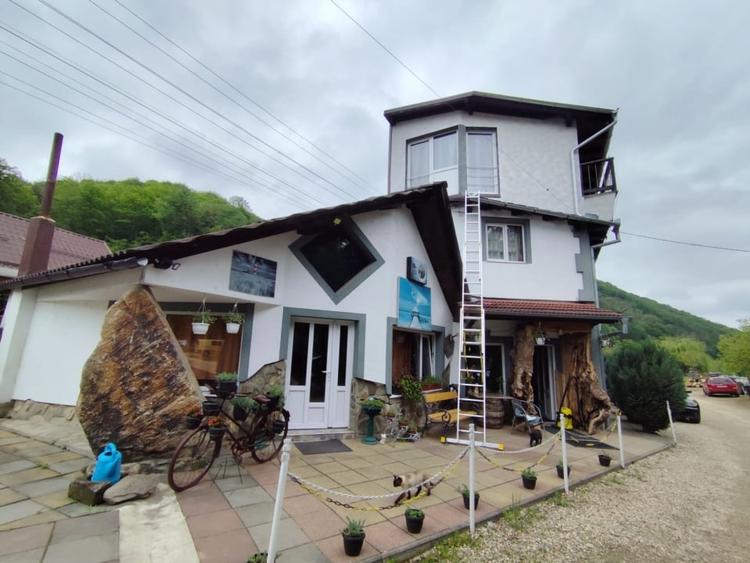 Casă individuală cu 10 camere cu Piscina în Strungari