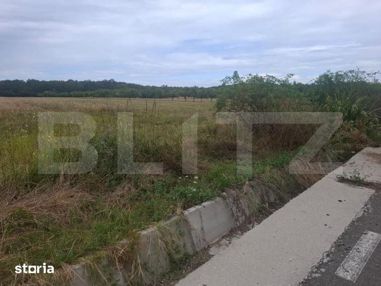 Teren de 2500 mp, în Raciu