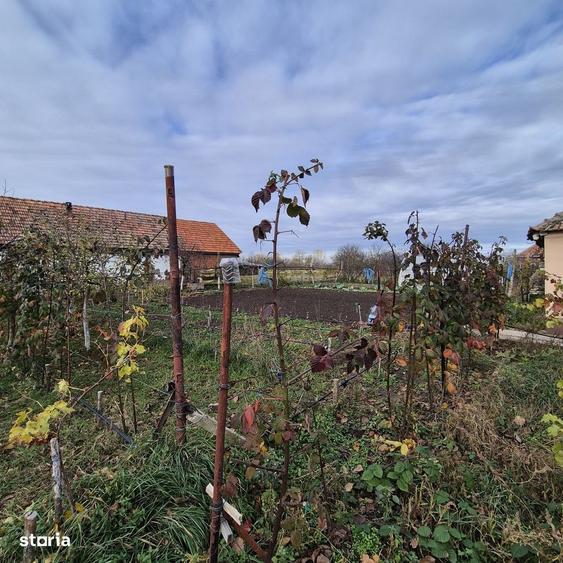 Casă cu 4 camere în Fiscut