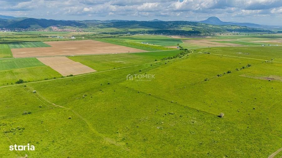 Spațiu comercial, în Tohanu Nou