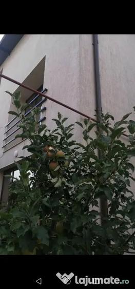 Casă cu 5 camere în Chiajna