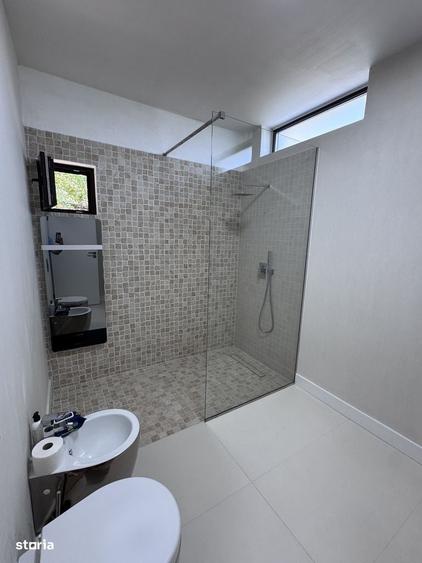Casă cu 4 camere cu Teren 2100 Mp în Viișoara