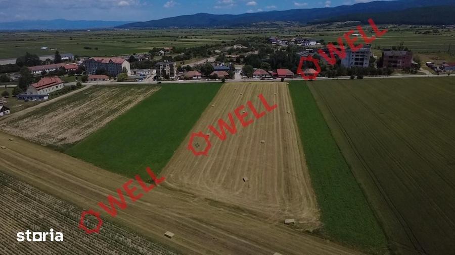 Teren de 10300 mp, în Central