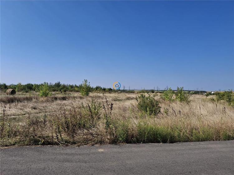 Teren agricol intravilan de 5707 mp, în Bradu
