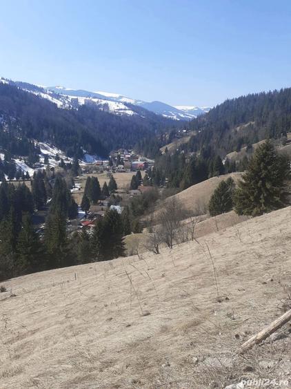 Teren de 3876 mp, în Gârda de Sus