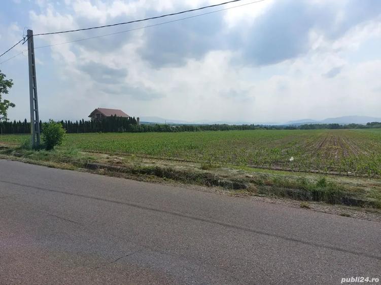 Teren de 3600 mp, în Central