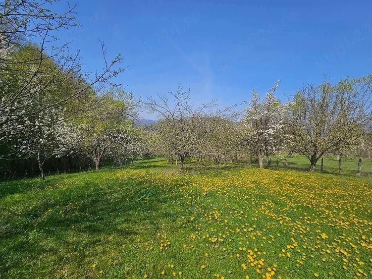 Teren de 3000 mp, în Dăești