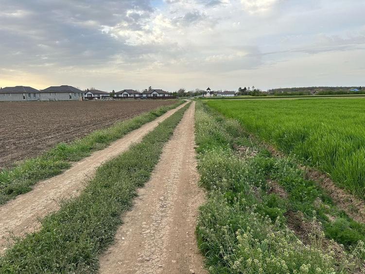 Teren Construcții intravilan de 7458 mp, în Balotești