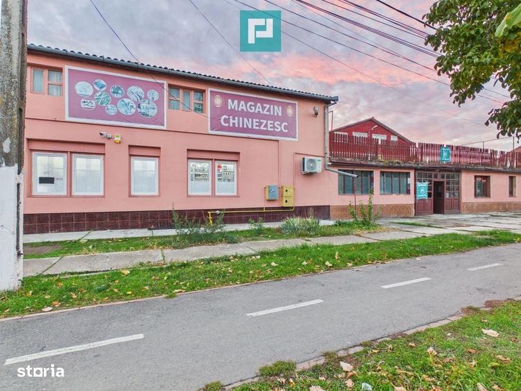 Casă cu 4 camere în Sintea Mică
