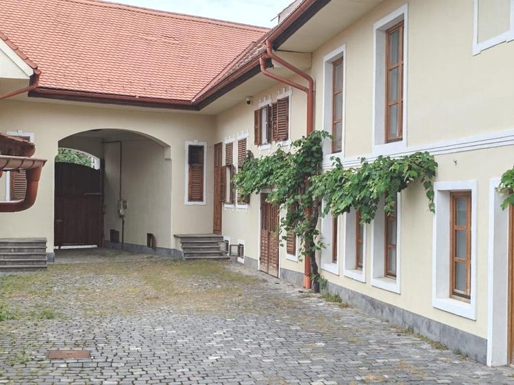 Casă individuală cu 8 camere cu Piscina în Cristian